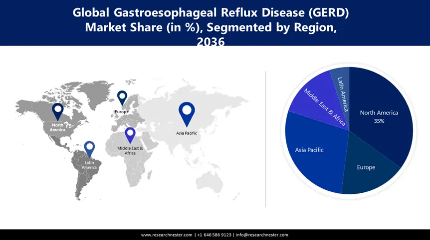Gastroesophageal Reflux Disease (GERD) Market Share
